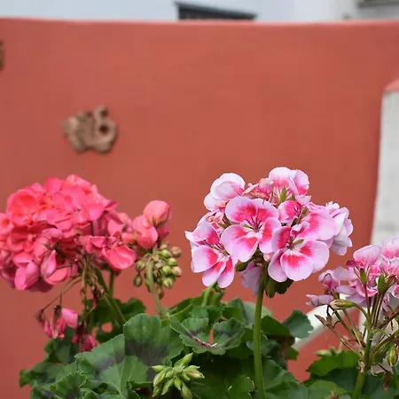 Apartman Cornabrugia Patio *