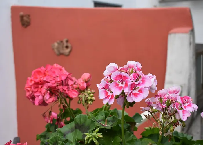 Apartman Cornabrugia Patio *