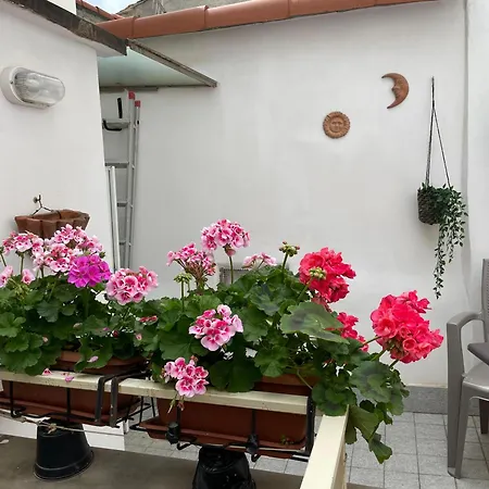 Διαμέρισμα Cornabrugia Patio Βερνάτσα