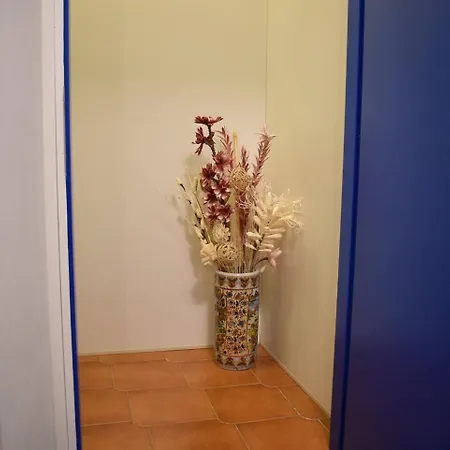 Cornabrugia Patio * ヴェルナッツァ