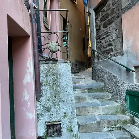 Cornabrugia Patio 아파트 베르나차