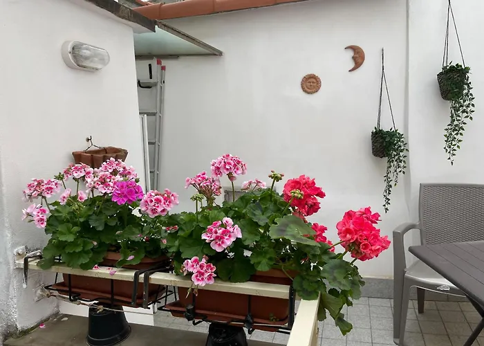 アパート Cornabrugia Patio ヴェルナッツァ